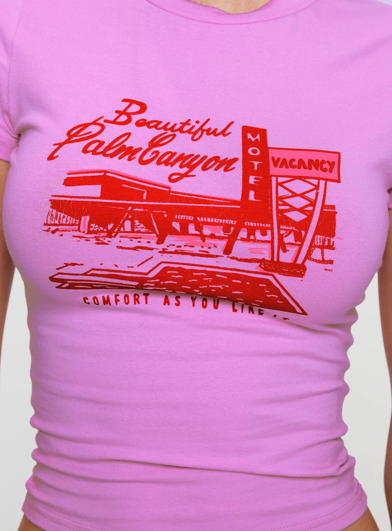 Palm Canyon Tee Pink - Image 6