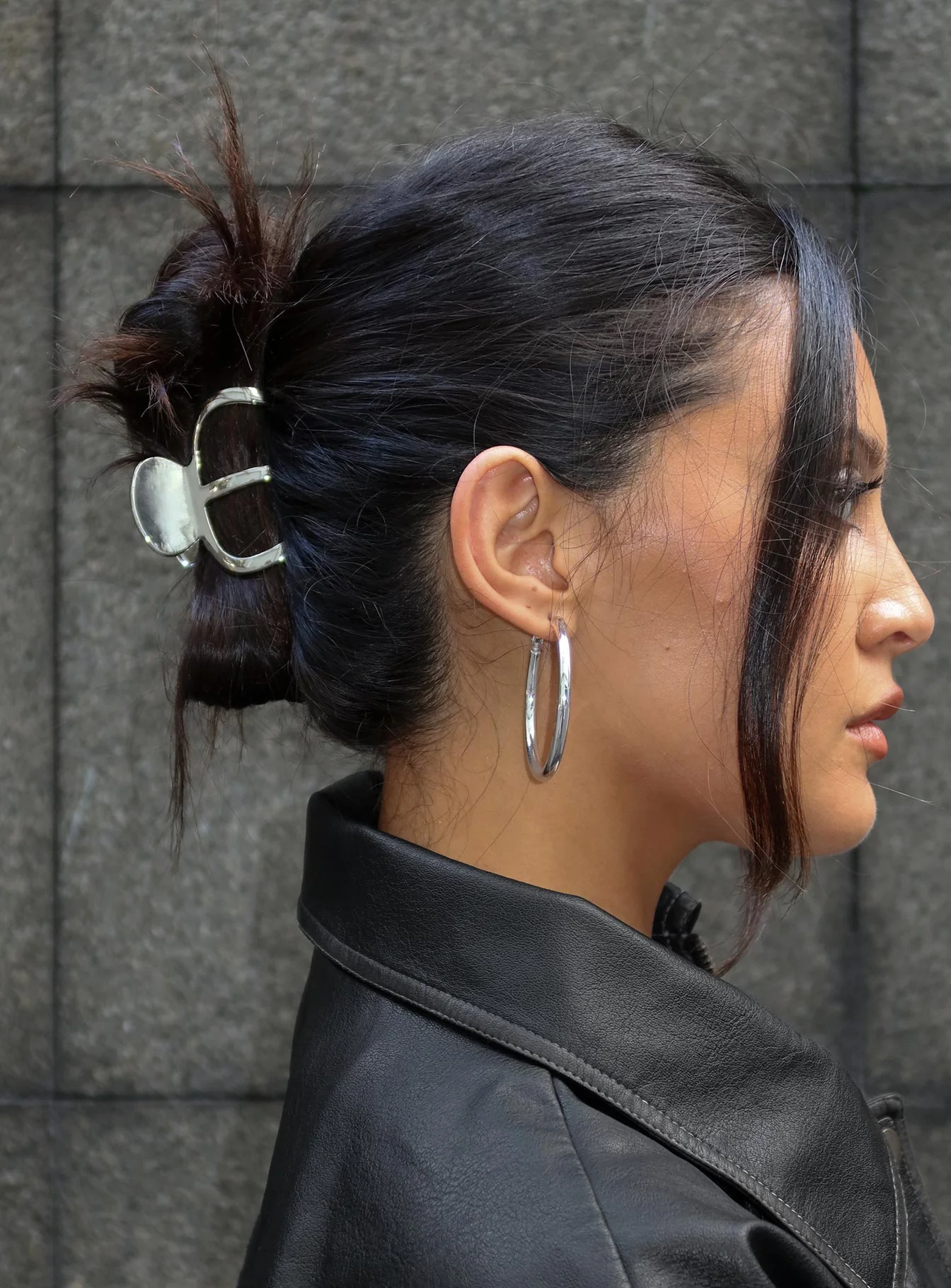 Swain Claw Clip Silver